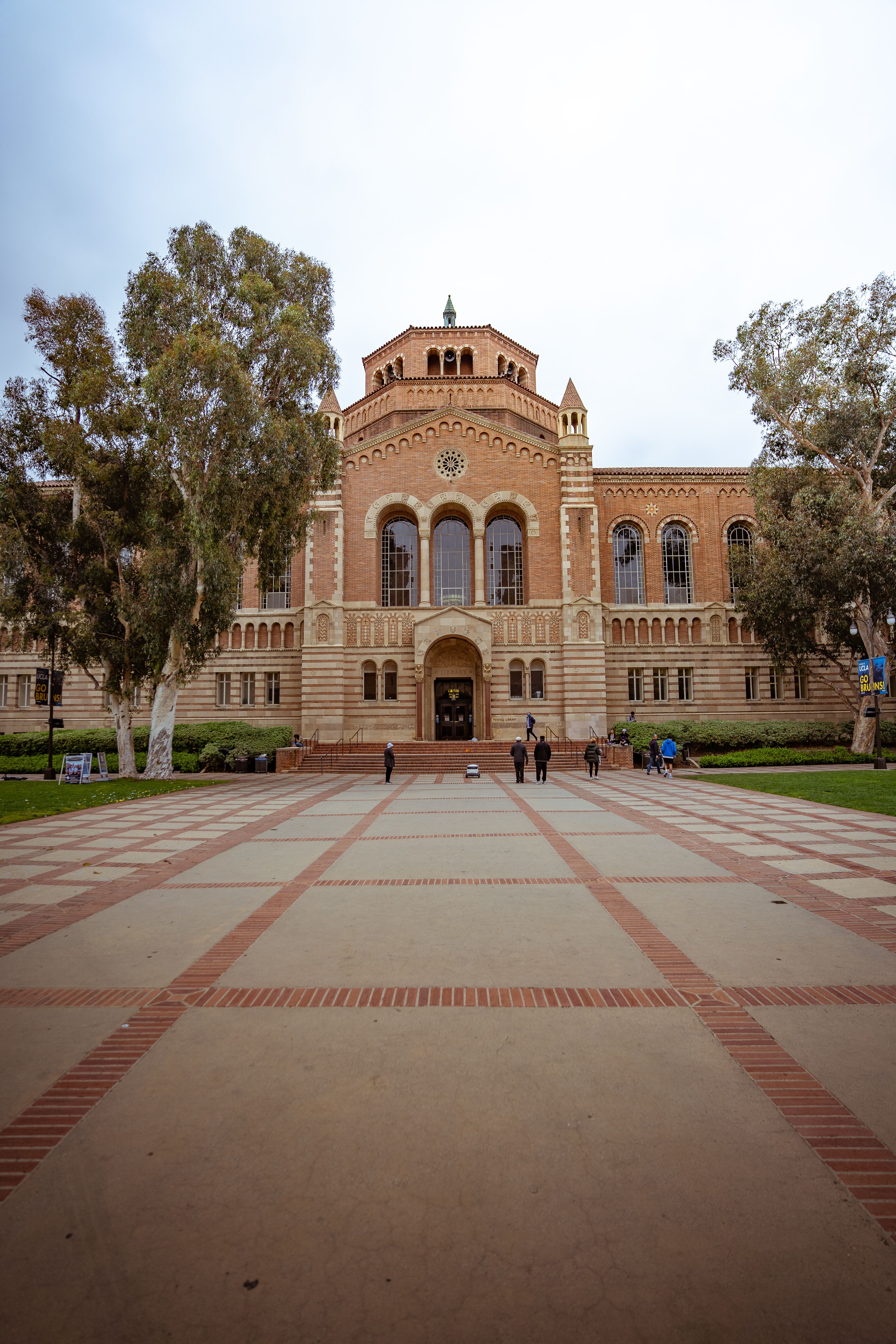 Harry C., Stanford University